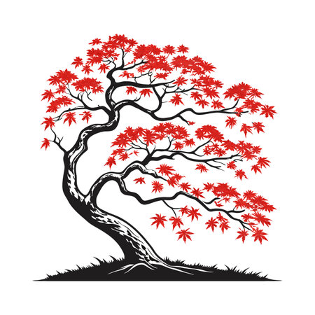 Japanese Maple Leaf Illustration on Whiteのイラスト素材