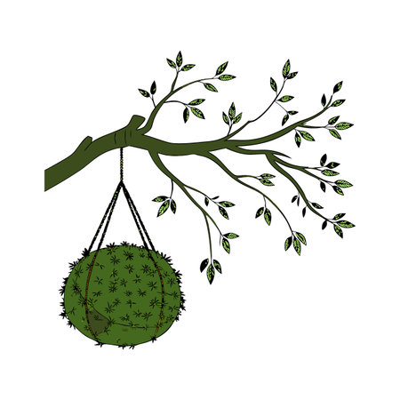 Elegant Kokedama Design on Bright Whiteのイラスト素材