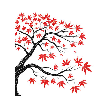 Beautiful Japanese Maple Leaf Design on Whiteのイラスト素材