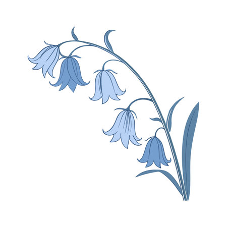Bluebell on Bright Whiteのイラスト素材