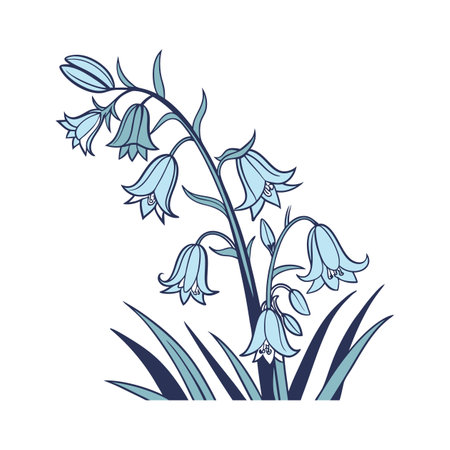 Vibrant Bluebell Plant Note on Whiteのイラスト素材