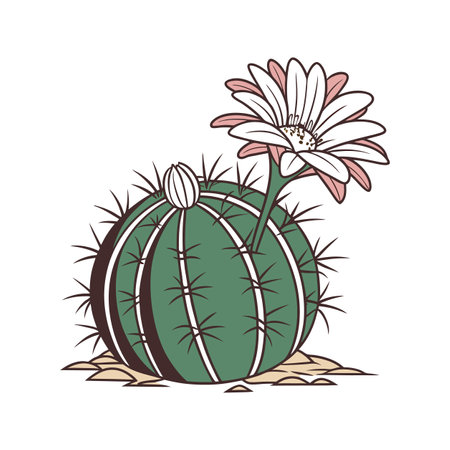 Artistic Gymnocalycium Cactus Visualizationのイラスト素材