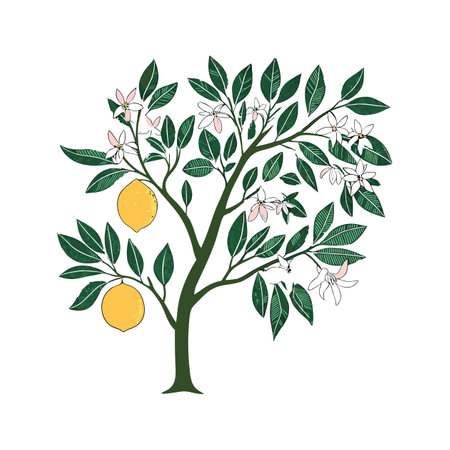 Stunning Grapefruit Tree Designのイラスト素材