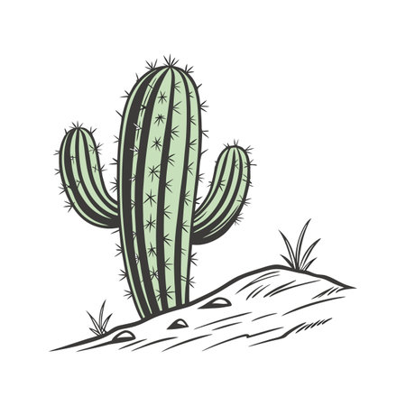 Barrel Cactus on Bright Whiteのイラスト素材