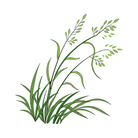 Charming Monkey Grass Vector Illustrationのイラスト素材