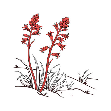 Stylish Snow Plant on Bright Backgroundのイラスト素材