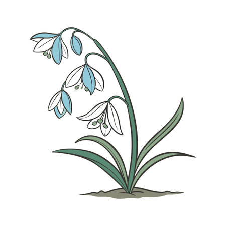 Charming Squill on Clean White Backgroundのイラスト素材
