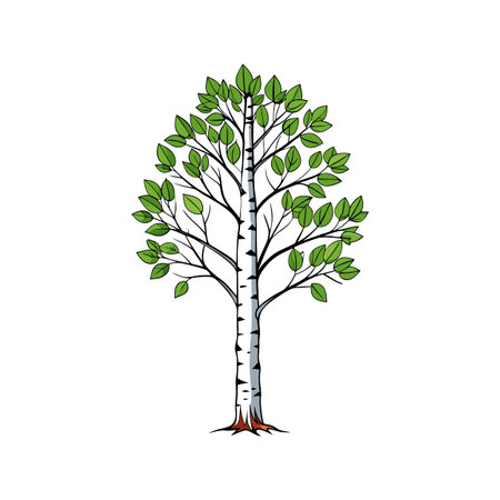 Realistic Birch Tree Bold Outline Design 1のイラスト素材