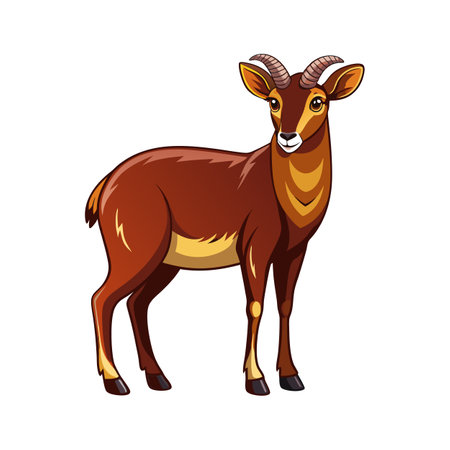 Beautiful Soay Sheep Realistic Color Illustration with Outlineのイラスト素材