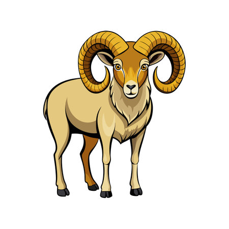 Illustration of Realistic Wiltshire Horn Sheepのイラスト素材