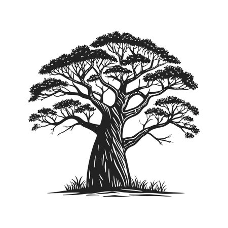 African baobab tree vector illustration isolated on white background. Hand drawn african baobab tree.のイラスト素材