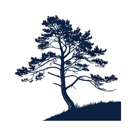 Pine tree silhouette isolated on white background. Vector illustration. Eps 10.のイラスト素材