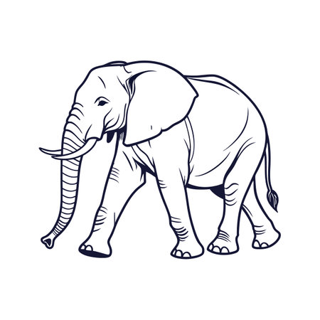 Elephant vector illustration isolated on white background. Hand drawn sketch.のイラスト素材