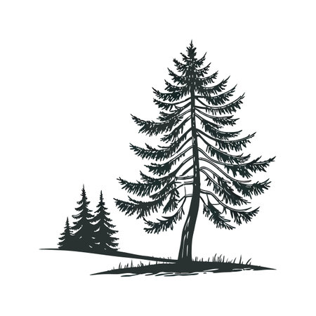 Fir Tree Bold Outline Design 2のイラスト素材