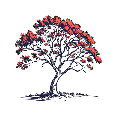 Florida Maple Tree Bold Outline Design 1のイラスト素材