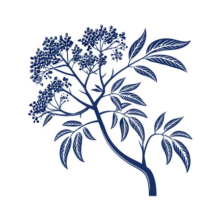 Distinct Blue Elderberry Tree Outline Artのイラスト素材