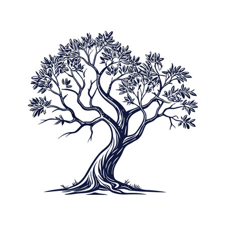 Illustration of olive tree. Hand drawn vector illustration isolated on white background.のイラスト素材