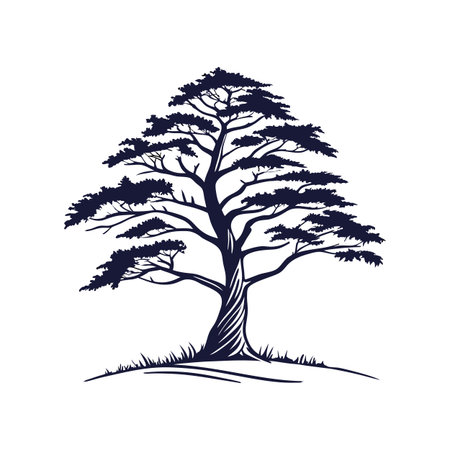 Pine tree silhouette, hand drawn vector illustration isolated on white backgroundのイラスト素材