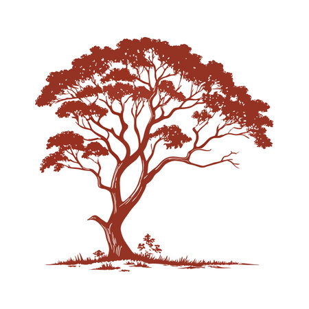 Realistic Florida Mahogany Tree Bold Outline Design 2のイラスト素材