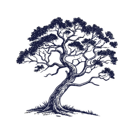 Realistic Corkwood Tree Bold Outline Design 2のイラスト素材