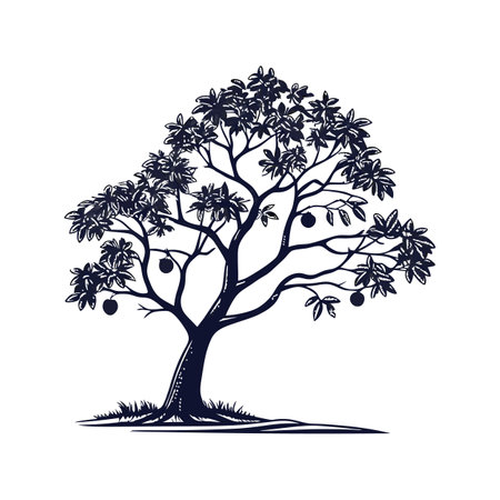 Realistic Indian Bael Tree Bold Outline Design 1のイラスト素材