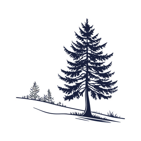 Distinct White Fir Tree Outline Artのイラスト素材