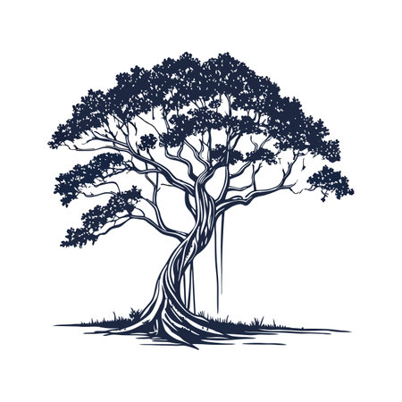 Distinct Florida Strangler Fig Tree Outline Artのイラスト素材