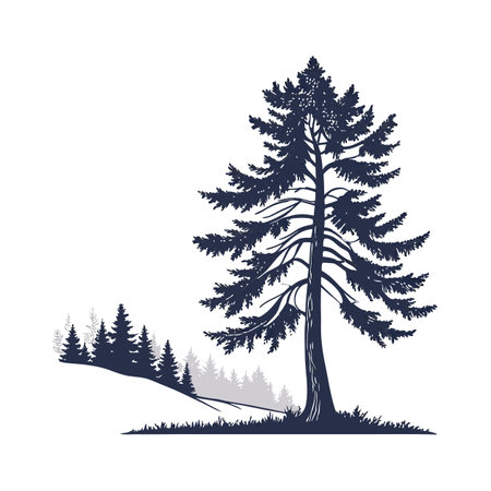 Realistic Himalayan Fir Tree Bold Outline Design 3のイラスト素材