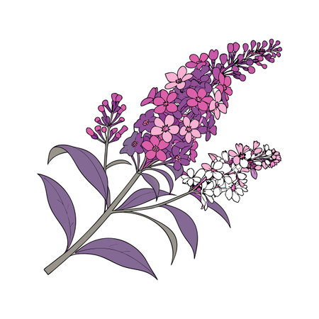 Buddleia Flower Bright Design