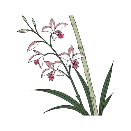 Stylish Bamboo Orchid Flower Designのイラスト素材