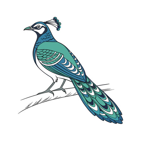 Elegant Cedar Sage Flower on Whiteのイラスト素材