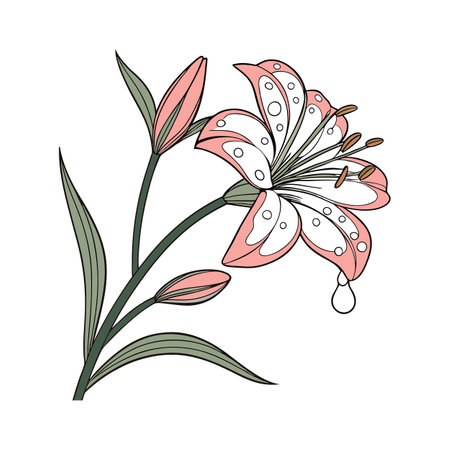 Charming Dewdrop Flower Illustration on Whiteのイラスト素材