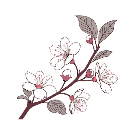 Charming Fothergilla Floral Art on Bright Whiteのイラスト素材
