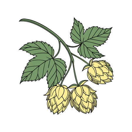 Elegant Hops Flower Design on Bright White Canvas