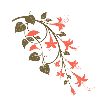 Coral Vine Bright Flower Designのイラスト素材