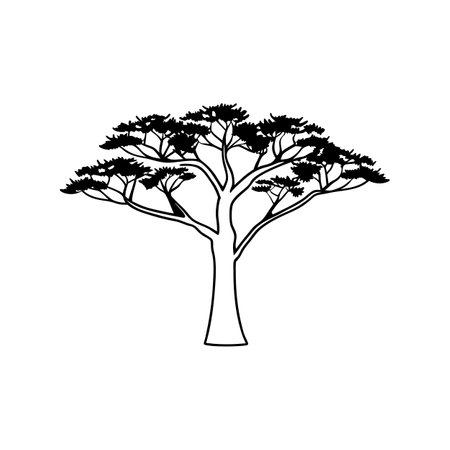 Bold Outline Art of Chinese Pistache Treeのイラスト素材