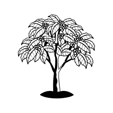 Stylish Outline Illustration of Coffee Treeのイラスト素材