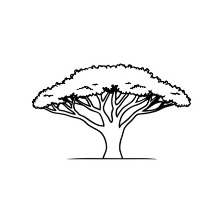 Bold Outline Illustration of African Oliveのイラスト素材