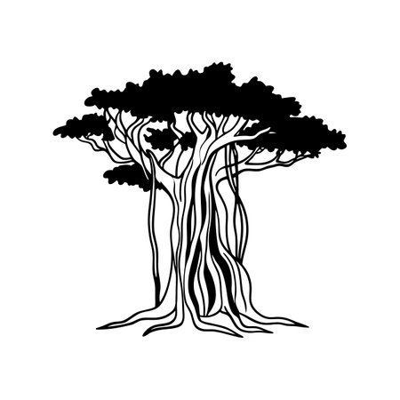 Florida Strangler Fig Tree Bold Outline Designのイラスト素材