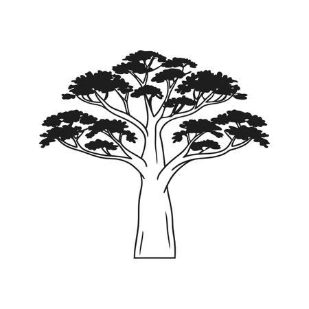 Artistic Outline of Kapok Treeのイラスト素材