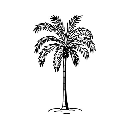 Dwarf Date Palm Tree Bold Outline Artのイラスト素材