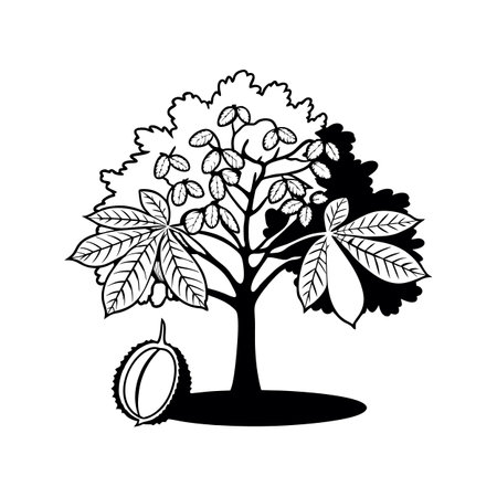 Red Buckeye Tree Artistic Designのイラスト素材