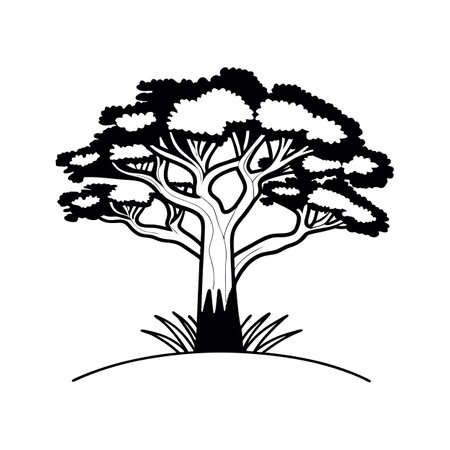 Charming Texas Ebony Tree Illustrationのイラスト素材