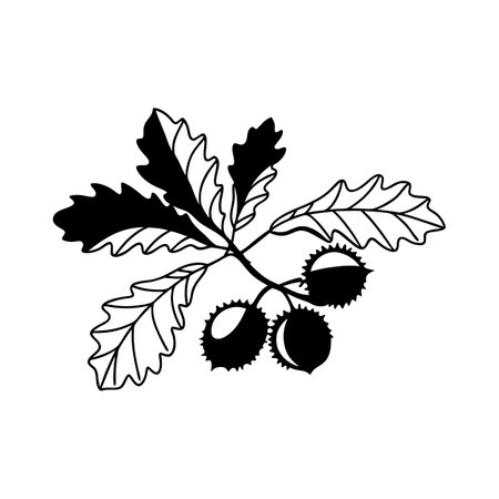 Vivid Spanish Chestnut Tree Illustrationのイラスト素材