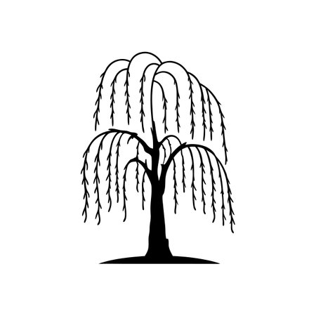 Weeping Willow Tree Artistic Designのイラスト素材