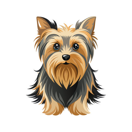 Distinct Australian Silky Terrier Vector Artのイラスト素材
