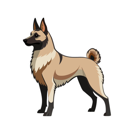 Distinct Belgian Laekenois Vector Artのイラスト素材