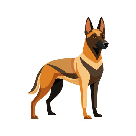Unique Belgian Malinois Vector Artのイラスト素材