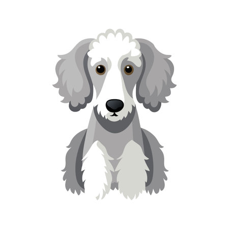 Creative Bedlington Terrier Vector Designのイラスト素材