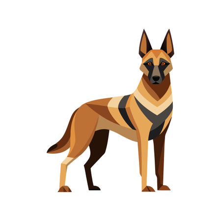 Unique Belgian Malinois Vector Designのイラスト素材